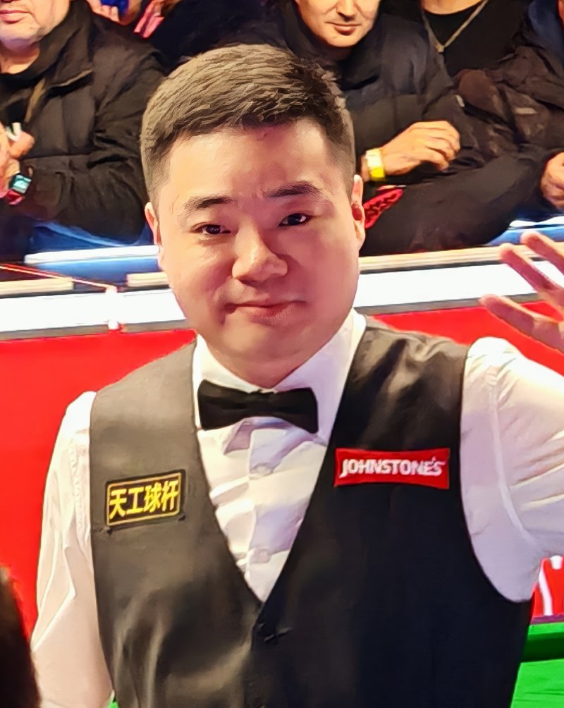 Ding Junhui, professional cue sports player
