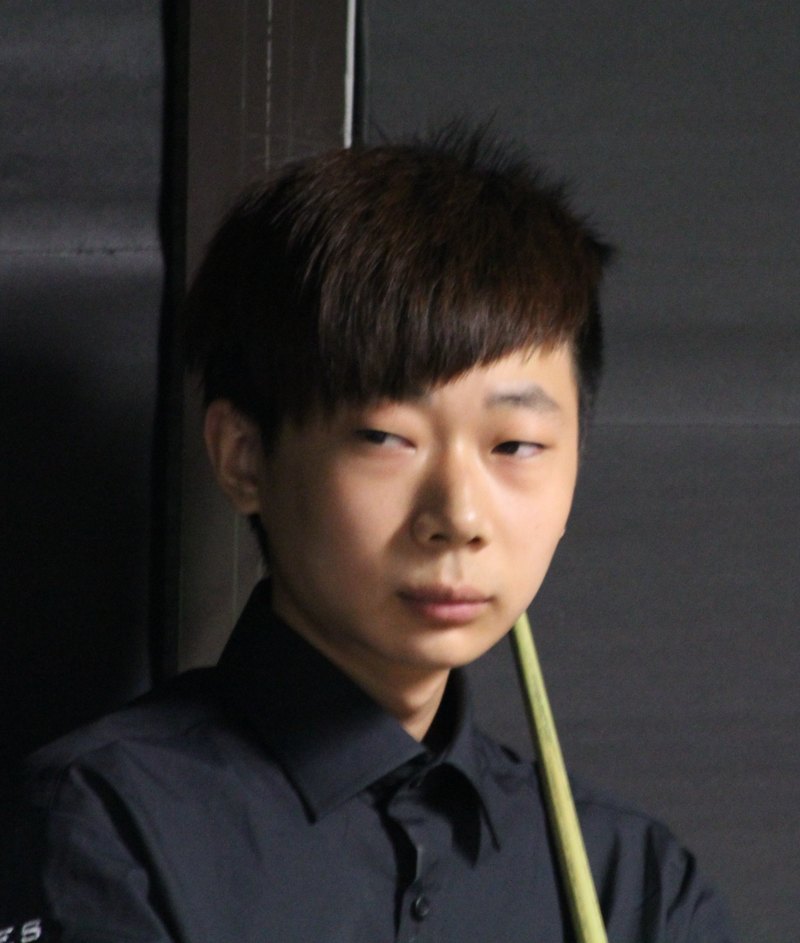 Lyu Haotian, professional cue sports player