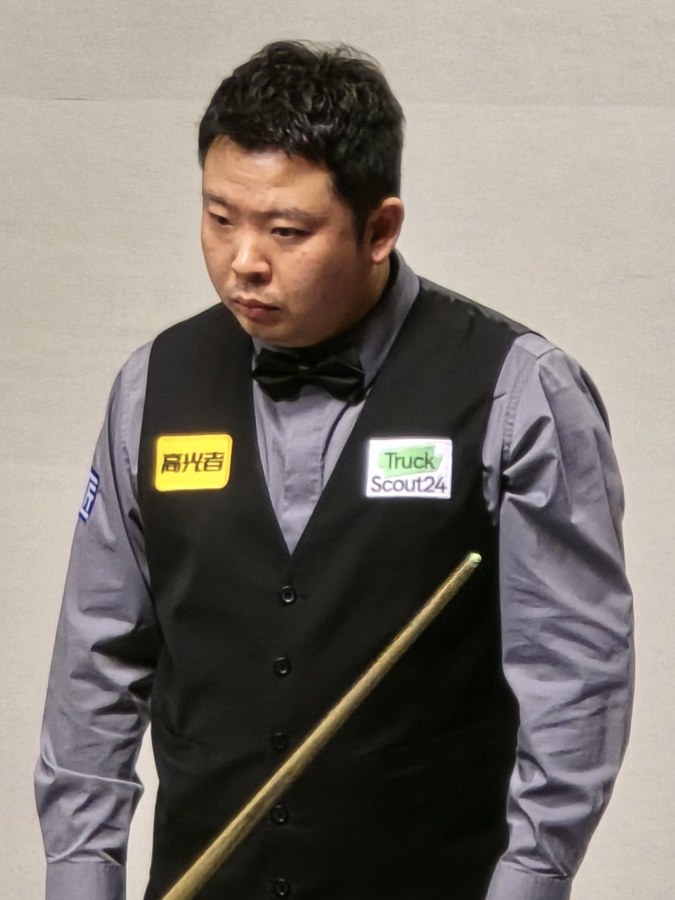 Zhang Anda, professional cue sports player